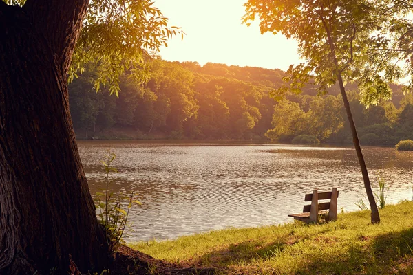 Branche sur jetée près du lac — Photo