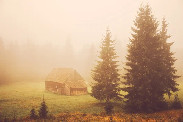 Cabaña en el campo de niebla —  Fotos de Stock