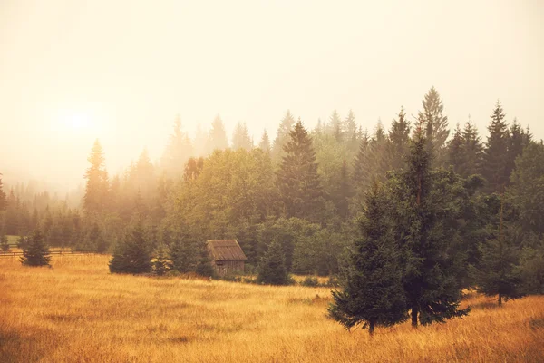 Cabine en bois sur le terrain — Photo