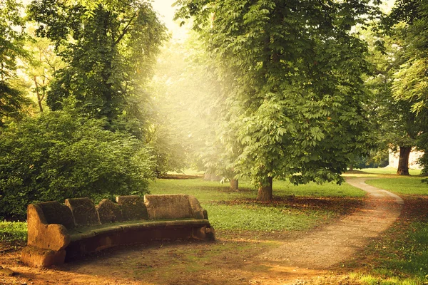 Way green the forest — Stock Photo, Image