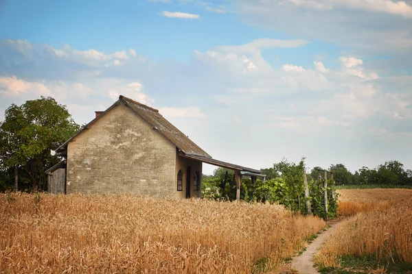 Casa su un campo di grano — Foto Stock