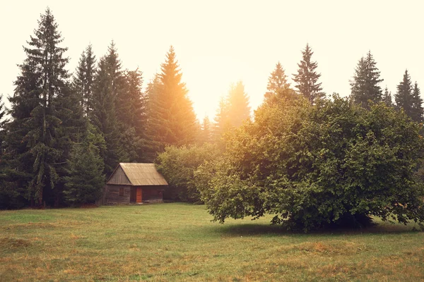 Деревянная хижина на поле — стоковое фото