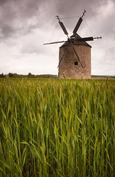 Alte Windmühle auf dem Feld — Stockfoto