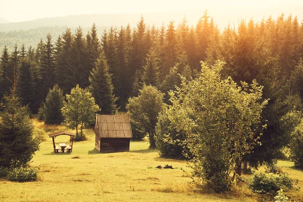 A mező és a felhős ég kabin — Stock Fotó