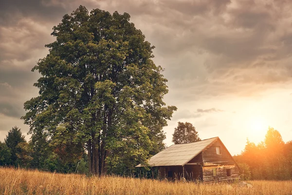 Cabaña de madera en el campo — Foto de Stock