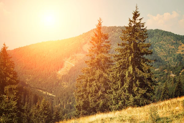 Paisaje con vista a la montaña —  Fotos de Stock