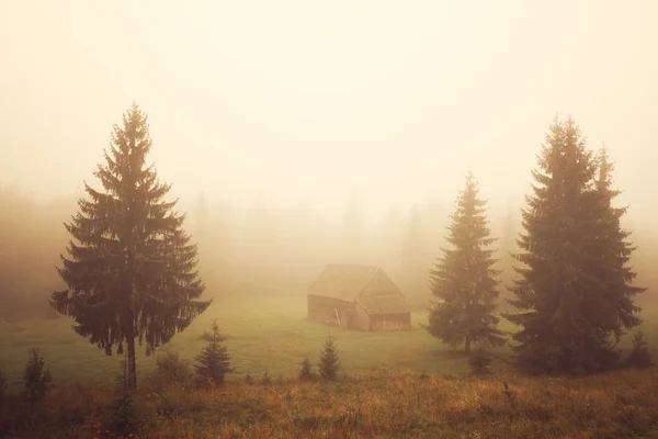 Cabin on the foggy field — Stock Photo, Image