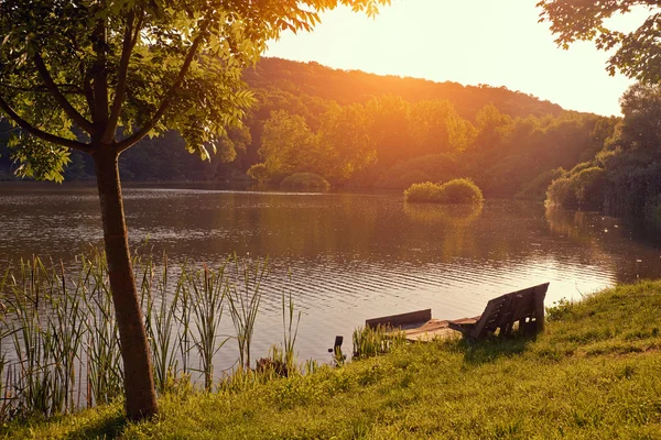 Branch on pier near the lake — Stock Photo, Image