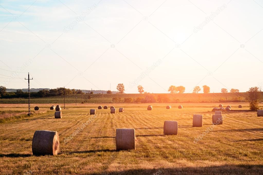 Bales on the field at sunset