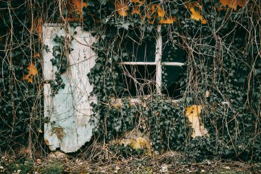 Terk edilmiş eski bina