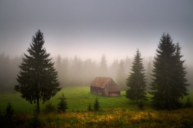 Transilvanya üzerinde eski çiftlik evi