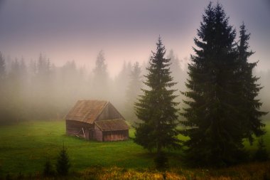Transilvanya üzerinde eski çiftlik evi