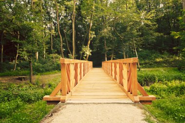 Dere üzerinde ahşap köprü