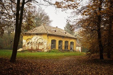 terk edilmiş eski bina