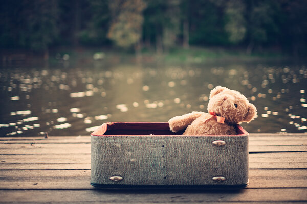 Медвежонок в сумке
