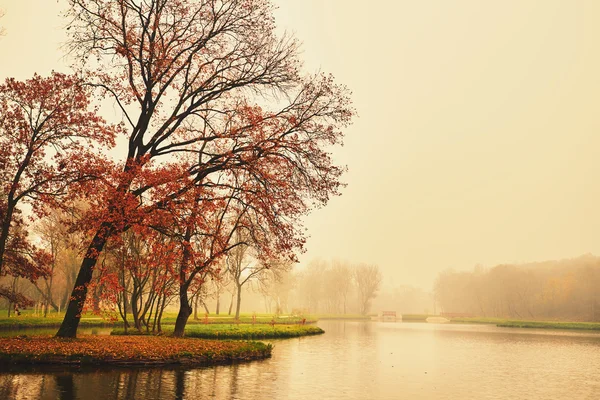 Autumn lake in the park — Stock Photo, Image