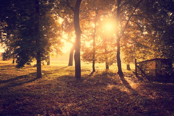 Hermoso parque de otoño — Foto de Stock