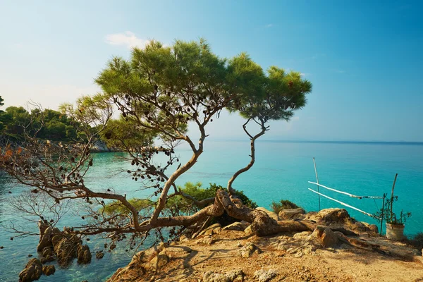 Bellissimo mare tropicale — Foto Stock