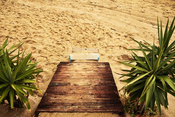 Trottoir en bois sur sable — Photo