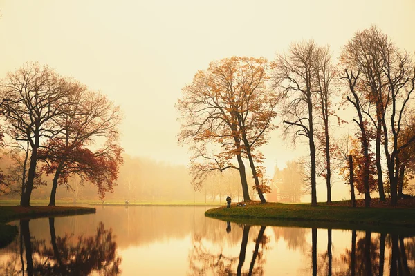 Lago de otoño en el parque — Foto de Stock