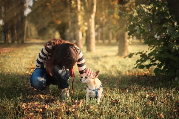 Bella donna e cagnolino — Foto Stock