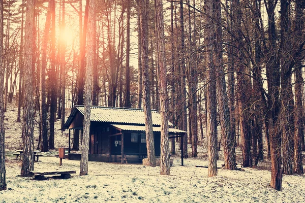 Trehus i vinterskog – stockfoto