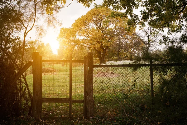 Recinzione agricola autunno — Foto Stock