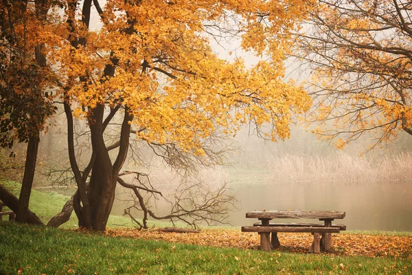 Ława autum parku — Zdjęcie stockowe