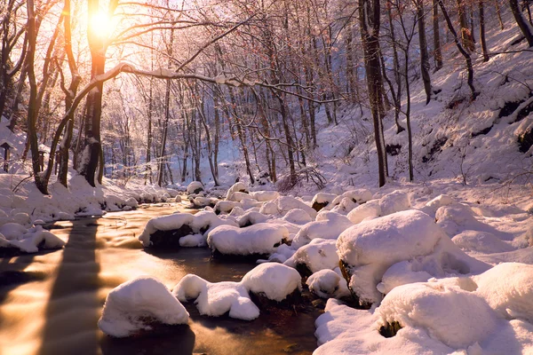 Vinterbekken i skog – stockfoto