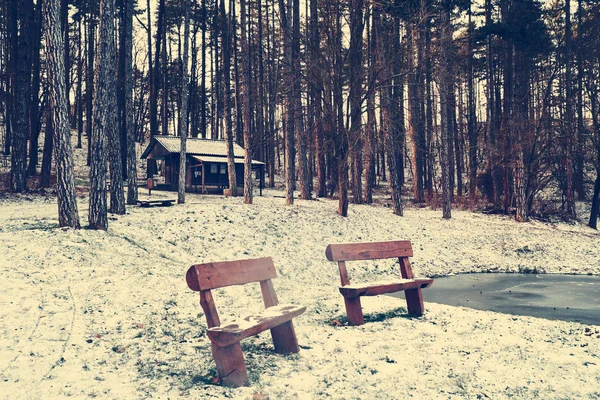 Houten banken in het winterpark — Stockfoto