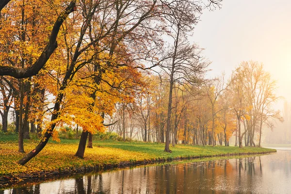 Lago de otoño en el parque — Foto de Stock