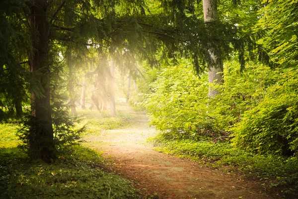 Fußweg im grünen Park — Stockfoto