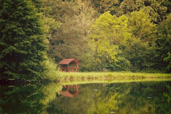 Cabaña en el bosque verde —  Fotos de Stock