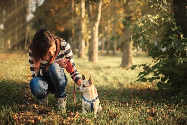 Красивая женщина и маленькая собака — стоковое фото