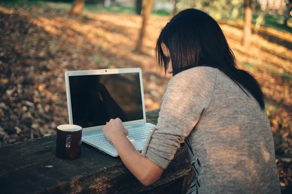 Menina e um laptop no parque — Fotografia de Stock
