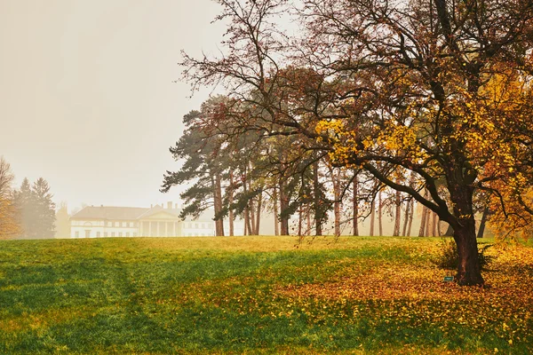 Nebliger Herbstpark — Stockfoto