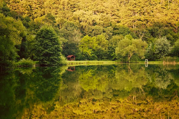 Cabine in het groene bos — Stockfoto