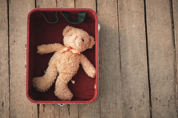 Teddy bear in bag — Stock Photo, Image