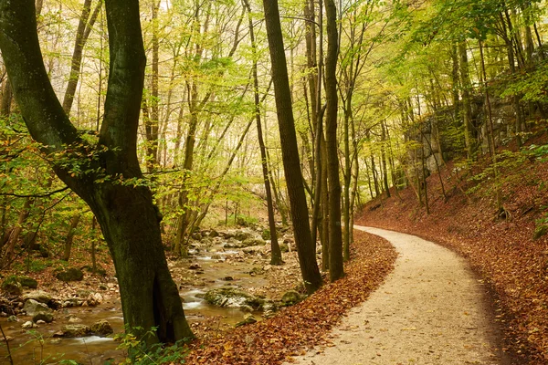 Herbstwaldstraße — Stockfoto