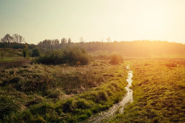 Stream på ängen — Stockfoto