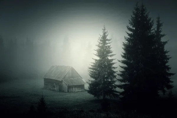 Haunted old wooden house — Stock Photo, Image