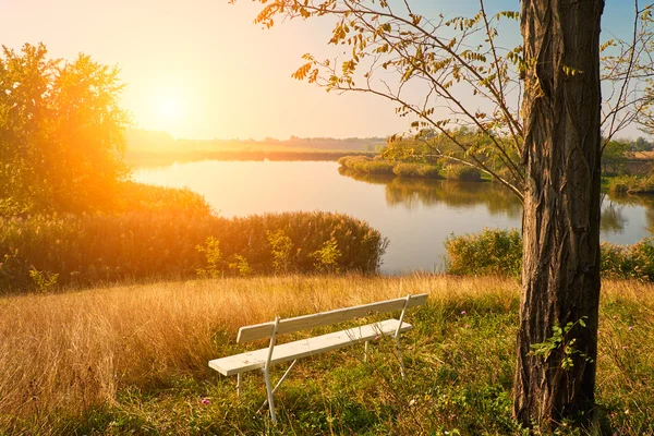 Podzimní stromy poblíž jezera — Stock fotografie