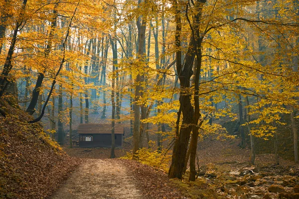 Holzhütte im Wald — Stockfoto