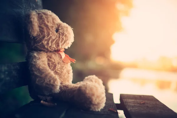 Teddy bear op Bank — Stockfoto