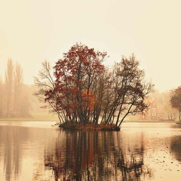 Autumn lake in the park — Stock Photo, Image