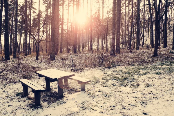 Bank im Winterwald — Stockfoto