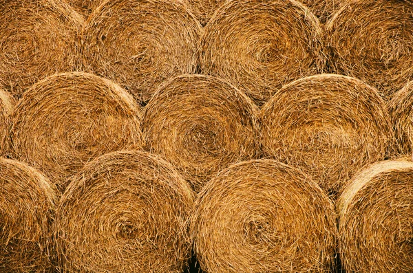 Straw bales texture — Stock Photo, Image