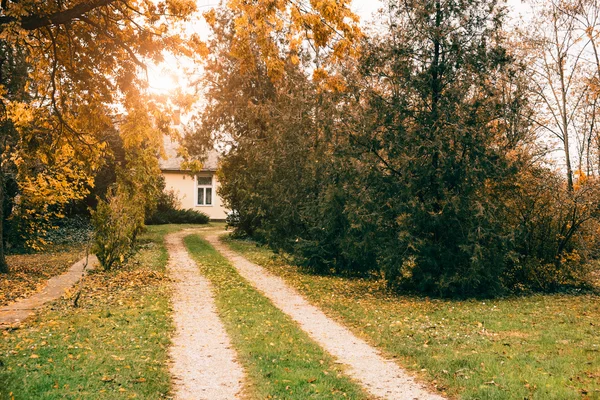 Höstens skogsväg — Stockfoto