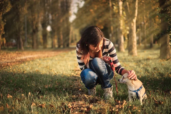 Bella donna e cagnolino — Foto Stock