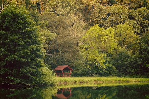 Yeşil ormanda kabin — Stok fotoğraf